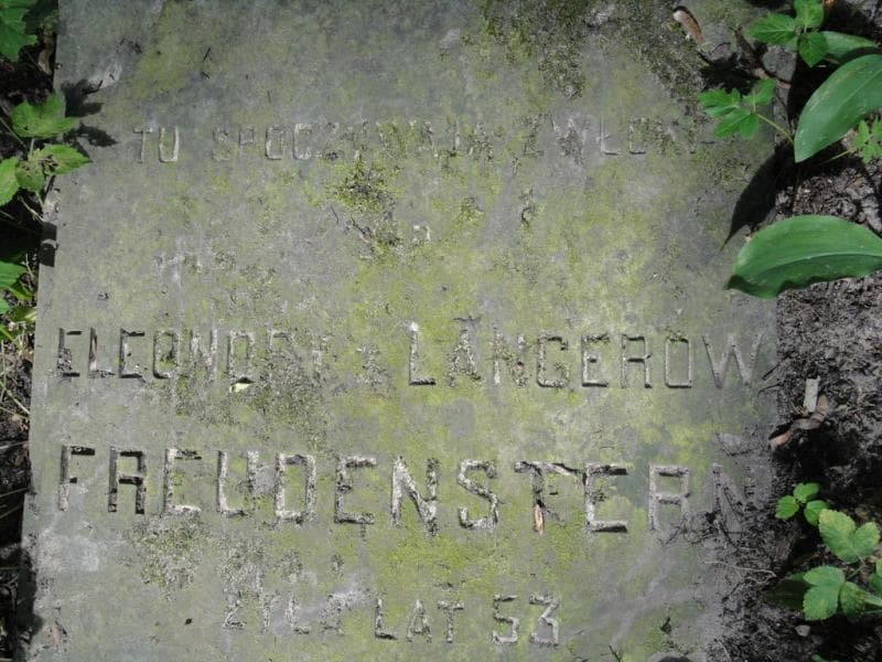 Zdjęcie grobu Eleonora Freudenstern (2)