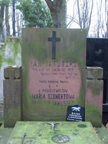 Zdjęcie grobu Jan Januszko (2)