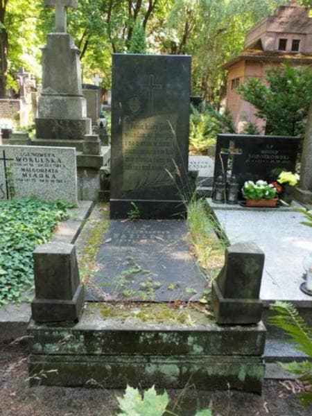 Zdjęcie grobu: Aleksander Wasilewski