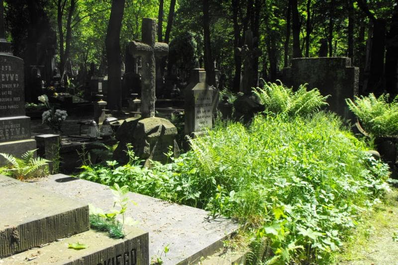Zdjęcie grobu: Marya Babiarska