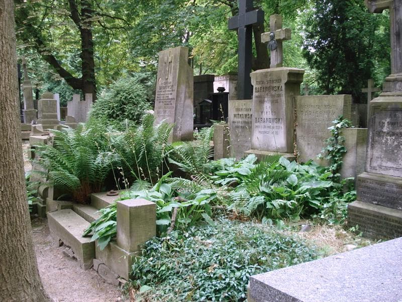 Zdjęcie grobu: Teresa Baranowska