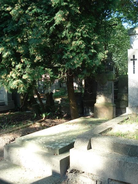 Zdjęcie grobu Elżbieta Kubacka (1)