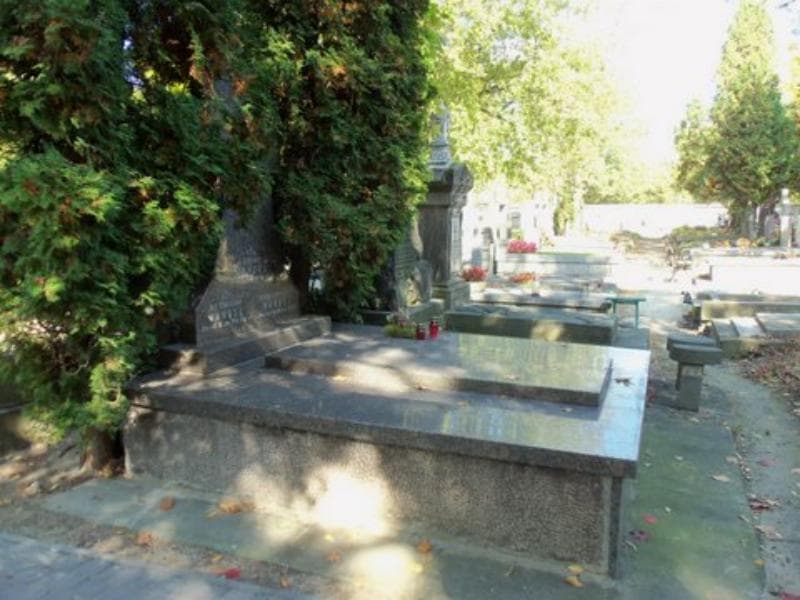 Zdjęcie grobu Zofia Wandel (1)