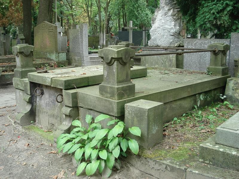 Zdjęcie grobu Henryk Mierzejewski (2)