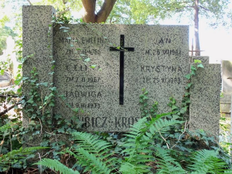 Zdjęcie grobu Jan Lubicz-Krośnicki (2)