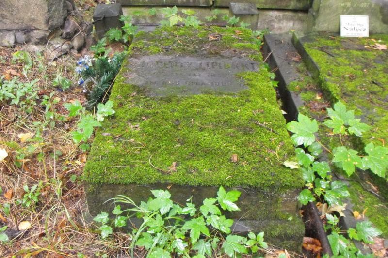 Zdjęcie grobu Wincenty Lipiński (2)