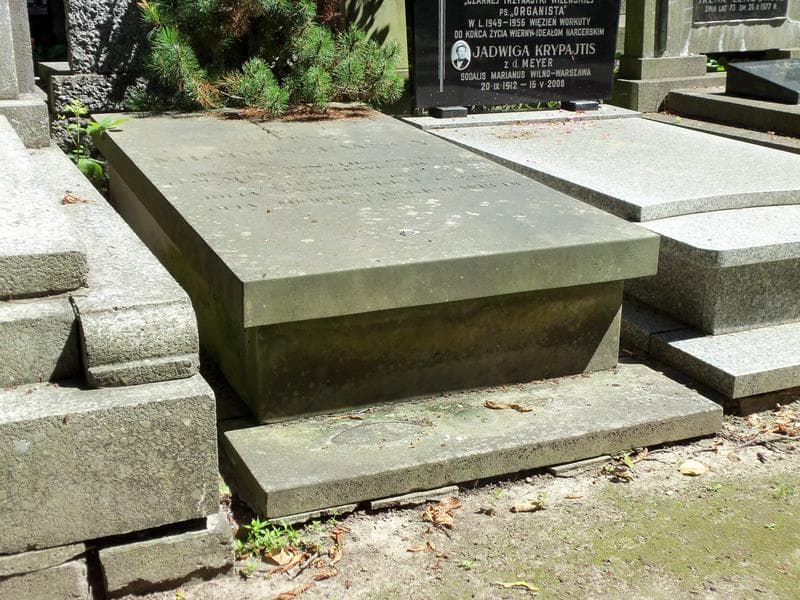 Zdjęcie grobu Zofia Wrede (1)