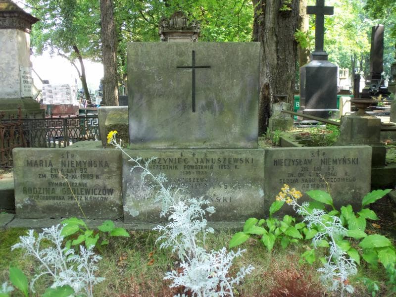 Zdjęcie grobu Wawrzyniec Januszewski (2)