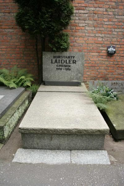 Zdjęcie grobu Konstanty Laidler (2)