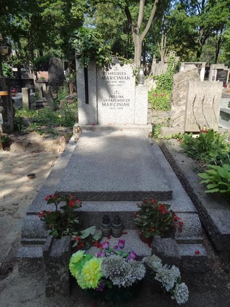 Zdjęcie grobu Franciszek Marciniak (1)