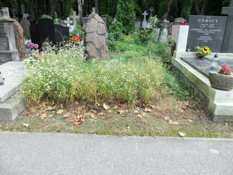 Zdjęcie grobu: Pole Grobowe