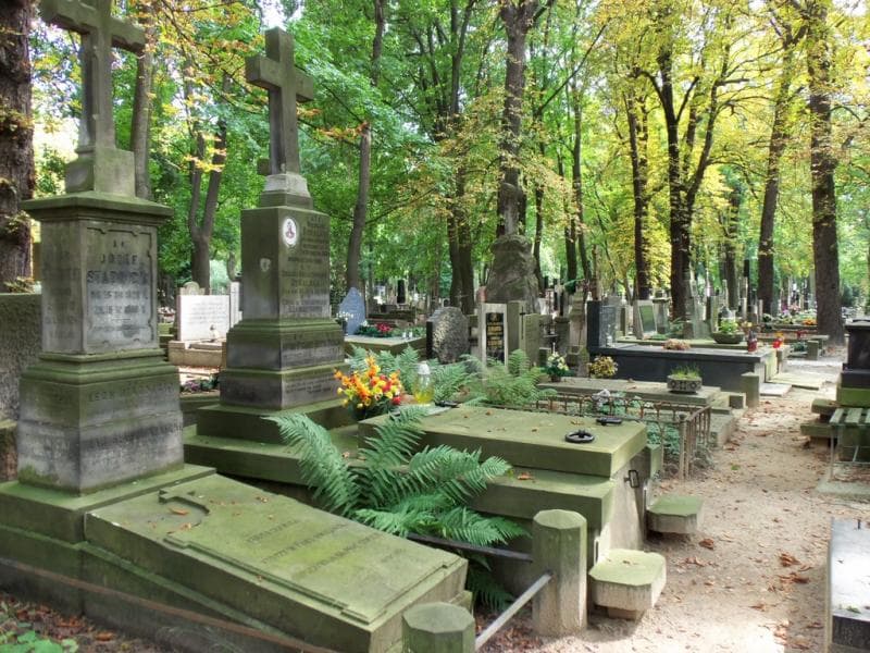 Zdjęcie grobu Zofia Stryjewska (2)
