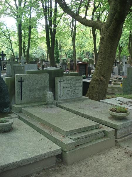 Zdjęcie grobu Edward Mirosław Pietraszkiewicz (1)