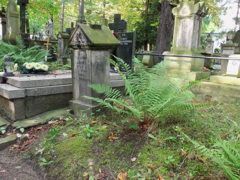 Zdjęcie grobu Józef Gabryel Sawicki (1)