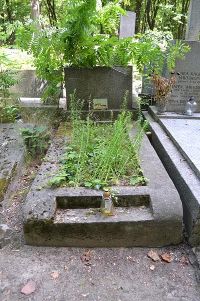 Zdjęcie grobu Danuta Anna Oleszko (1)