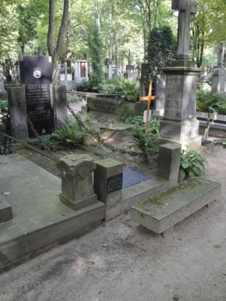 Zdjęcie grobu Stefan Krzyżanowski (1)