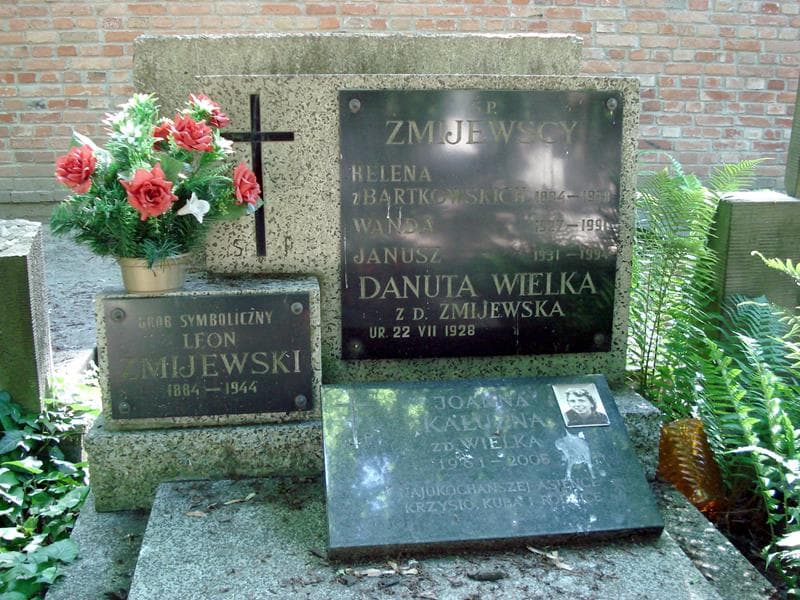 Zdjęcie grobu Leon Żmijewski (1)