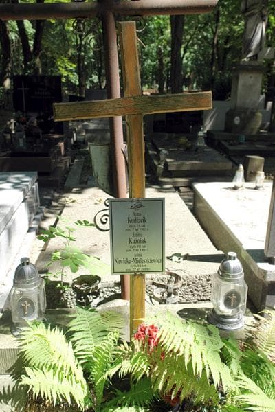 Zdjęcie grobu Janina Kuźniak (1)