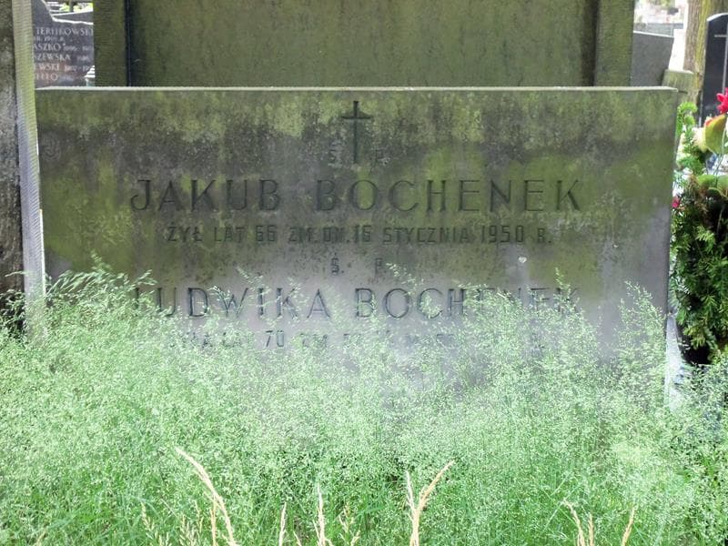 Zdjęcie grobu Ludwika Bochenek (2)