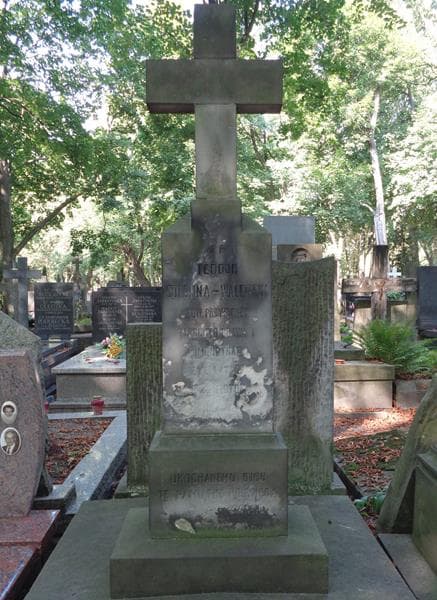 Zdjęcie grobu Teodor Colonna-Walewski (2)