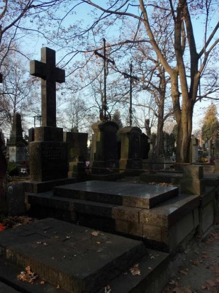 Zdjęcie grobu Faustyna Marczewska (1)