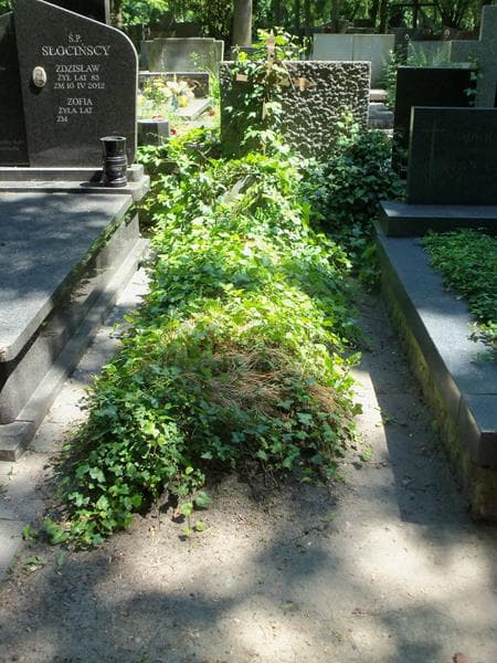 Zdjęcie grobu: Konstanty Juszkiewicz