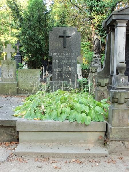Zdjęcie grobu: Ignacy Mickiewicz