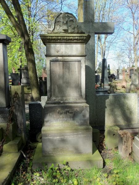 Zdjęcie grobu Wacław Dworzaczek (2)