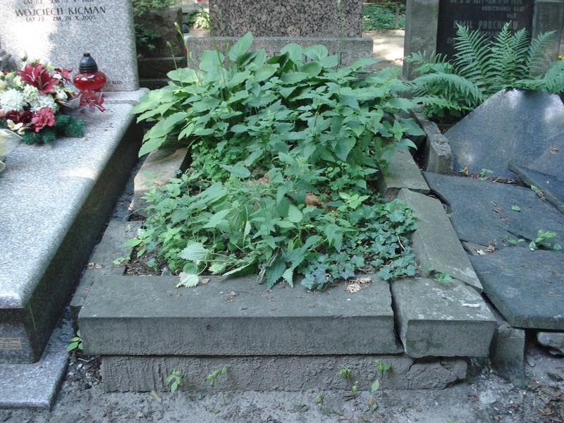 Zdjęcie grobu: Mansfeldowie