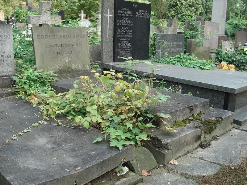 Zdjęcie grobu Robert Froehlich (1)