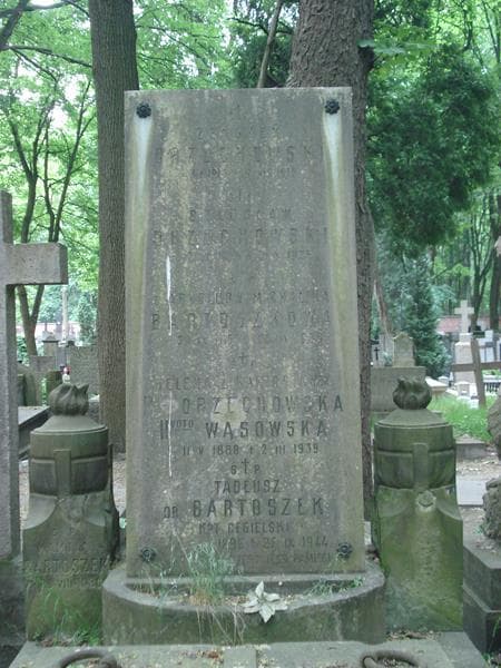 Zdjęcie grobu Kamila Bartoszek (1)