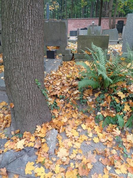 Zdjęcie grobu Pole Grobowe (1)