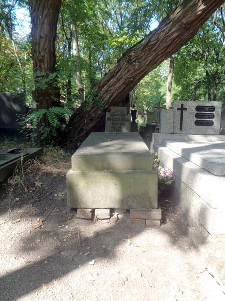 Zdjęcie grobu Marcyjanna Drozdowska (1)
