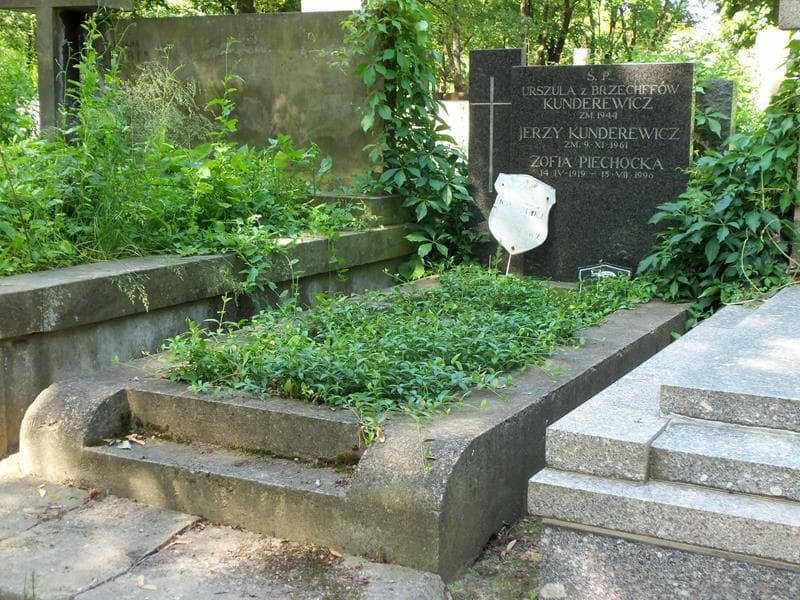 Zdjęcie grobu Jerzy Kunderewicz (1)
