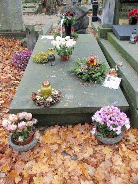 Zdjęcie grobu: Zofia De Virion