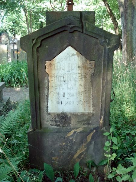 Zdjęcie grobu Feliks Bernard Białobrzeski (2)