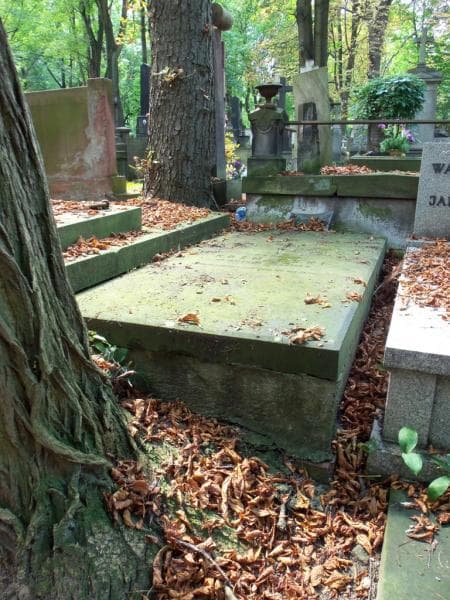 Zdjęcie grobu: Karol Koźmiński