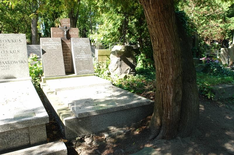 Zdjęcie grobu: Halina Aleksandra Słaboszewicz