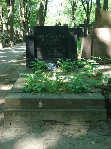 Zdjęcie grobu: Adolf Buchowiecki