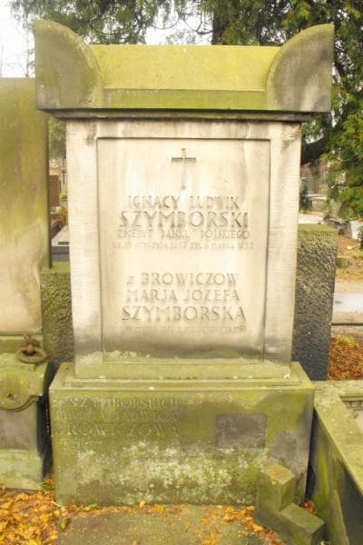 Zdjęcie grobu Tadeusz Browicz (1)