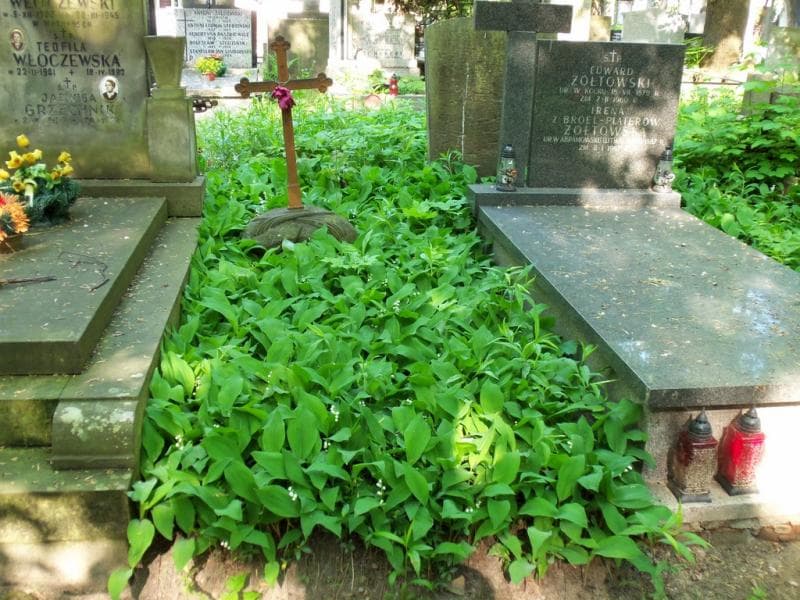 Zdjęcie grobu: Anna Lubaś