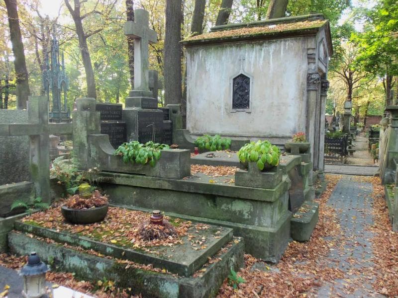 Zdjęcie grobu Januszek Olbrycht (1)
