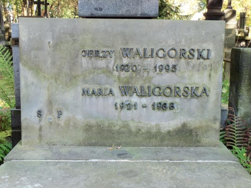 Zdjęcie grobu Maria Waligórska (2)