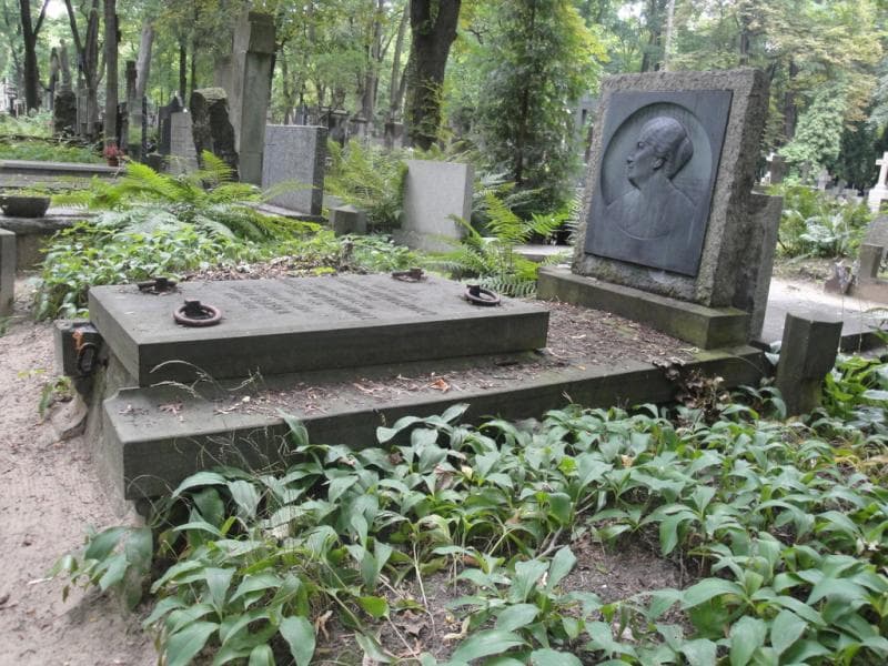 Zdjęcie grobu Zofia Dąbska (1)