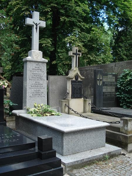 Zdjęcie grobu Piotr Stołowski (1)