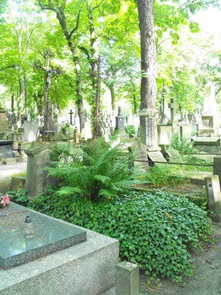 Zdjęcie grobu Władysław Sieniawski (2)