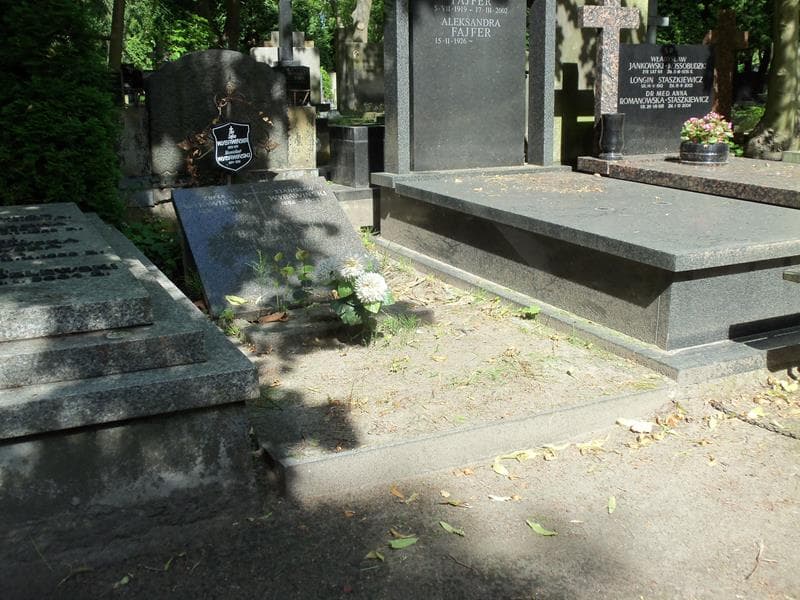Zdjęcie grobu Roman Wybawiński (1)
