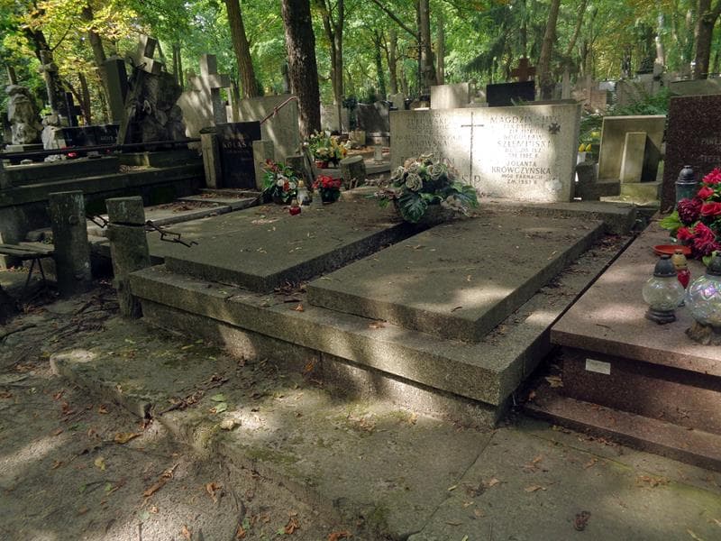 Zdjęcie grobu: Jan Magdzin-Hyc