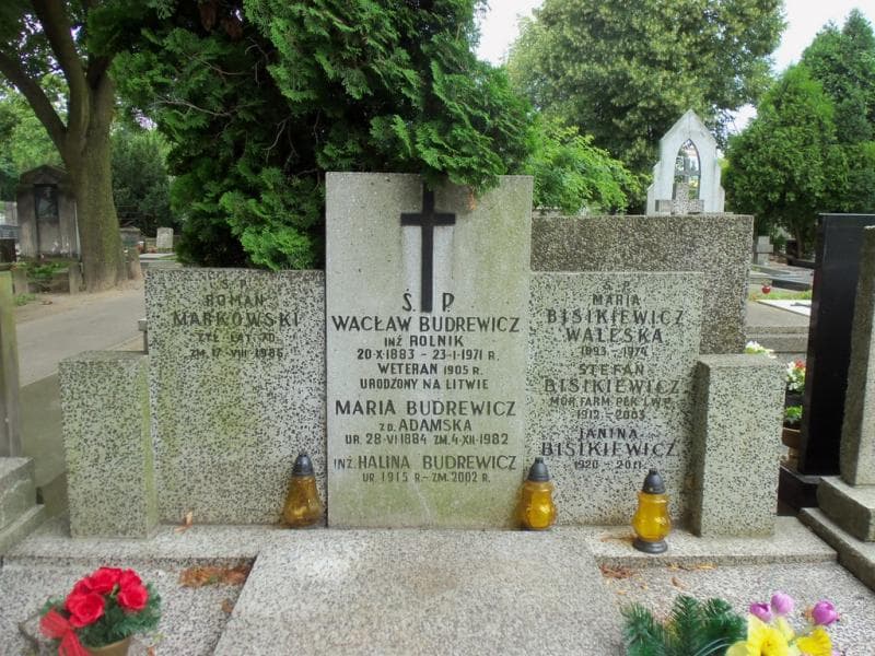 Zdjęcie grobu Wacław Budrewicz (2)