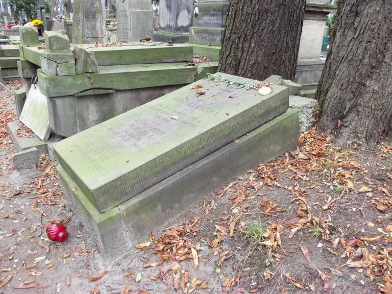 Zdjęcie grobu Agnieszka Wasita (1)